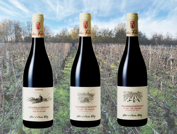 主圖(圖片說明請修改)