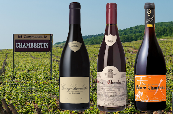 主圖(圖片說明請修改)