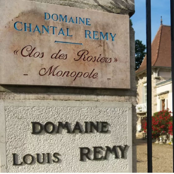 Vigne Comte de Chapelle