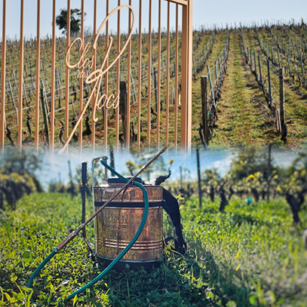 Domaine du Clos des Rocs