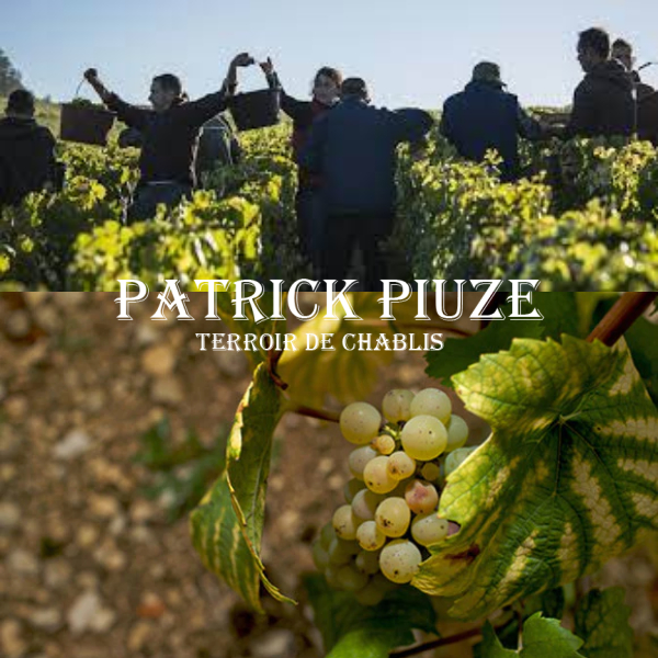 Patrick Piuze