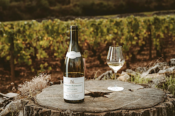 主圖(圖片說明請修改)