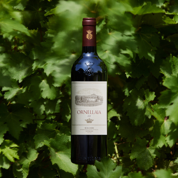 主圖(圖片說明請修改)