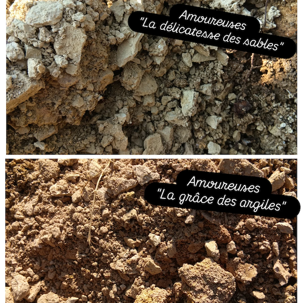 主圖(圖片說明請修改)